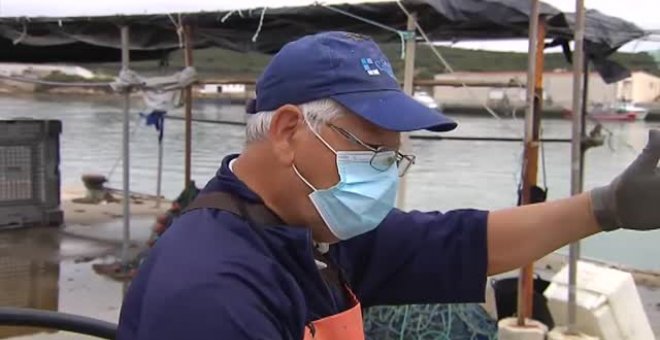 Comienza la ancestral pesca del atún rojo de la Almadraba