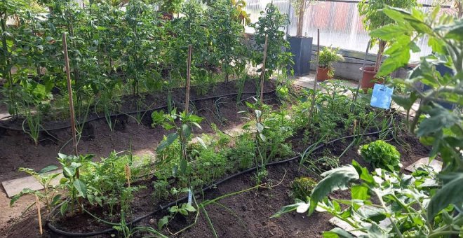 El Centro Municipal de Formación amplía sus cursos sobre horticultura y jardinería con dos nuevas propuestas gratuitas