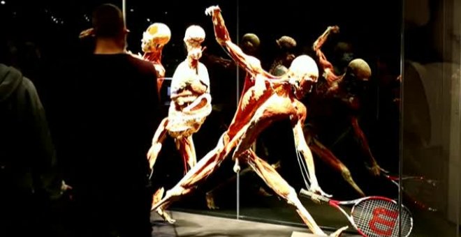 La exposición "Cuerpos del mundo" te invita a donar tus restos al arte