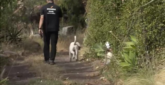 La Guardia Civil busca con perros pistas en la vivienda del padre de Anna y Olivia en Tenerife