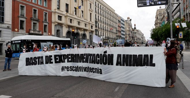 Los animales del laboratorio de Vivotecnia siguen sin ser liberados un mes después del escándalo de maltrato