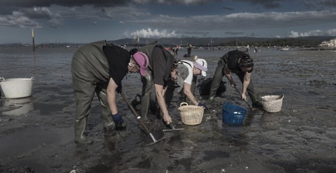 Ecologistas y mariscadoras acusan a la Xunta de "desidia" ante los episodios de contaminación en las rías gallegas
