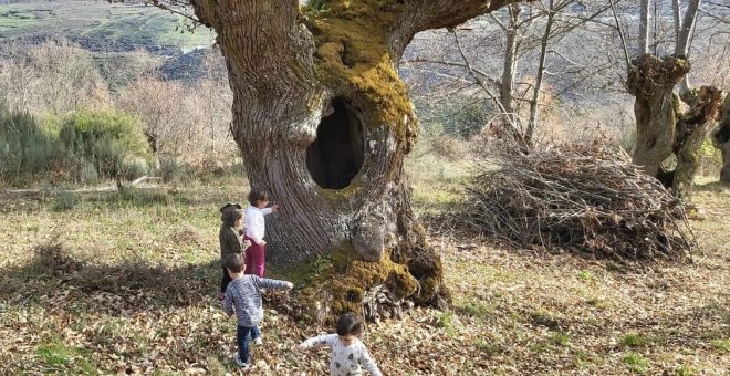 Experiencias de nueva vida rural con respeto y energía positiva