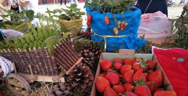 Una empresa de exportación de fruta a Europa quiere instalar en Candamo su producción de fresas