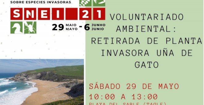El Ayuntamiento organiza el 29 de mayo una jornada de voluntariado ambiental por la Semana de las Especies Invasoras