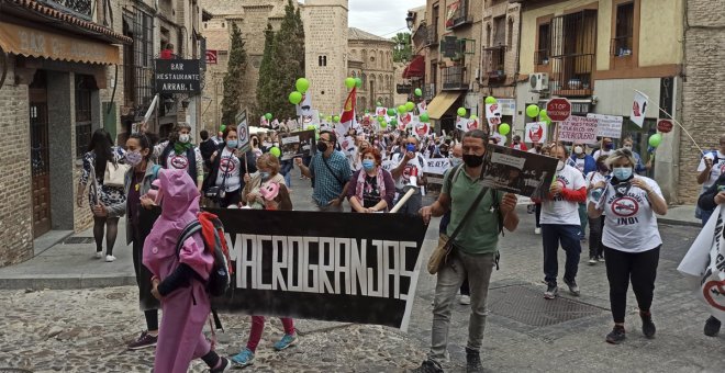 Cientos de manifestantes piden a la Junta la paralización de las macrogranjas en Castilla-La Mancha