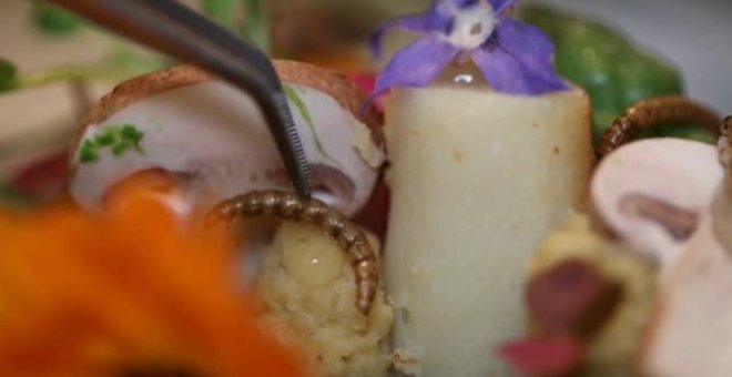 El chef francés Laurent Veyet cocina platos con gusanos de la harina que cultiva en su restaurante de París