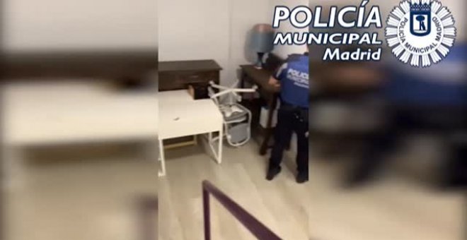 Dos detenidos y 97 plantas de marihuana requisadas en el sótano de una inmobiliaria del distrito madrileño de Chamberí