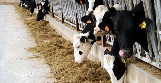 Crítiques dels ramaders a Mercadona per intentar "netejar-se la imatge" amb un increment "insuficient" del preu de la llet