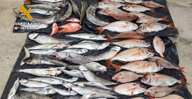 Sorprenden a un furtivo con 55 kilos de pescado capturado en el puerto Marina de Santander