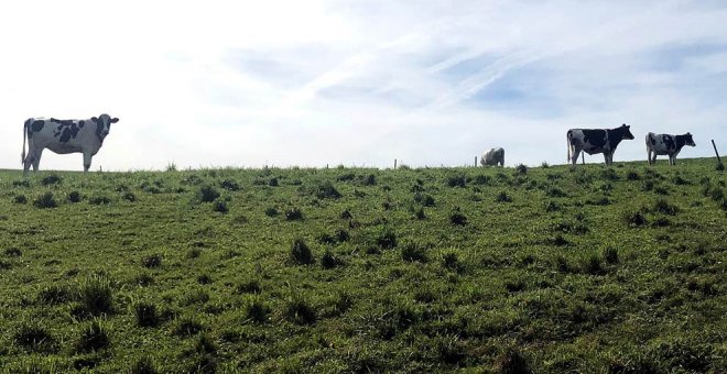 Cantabria, primera comunidad que modifica el Programa de Desarrollo Rural para agilizar las ayudas a ganaderos y agricultores