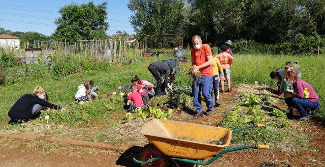 Las huertas municipales acogieron talleres de agricultura ecológica en los que participaron 17 familias