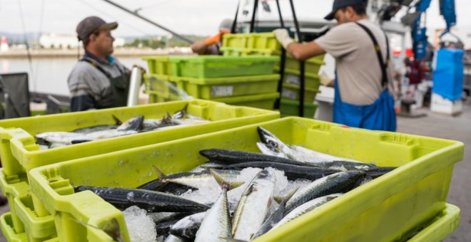 Cantabria destina 3 millones en ayudas a inversiones de empresas pesqueras