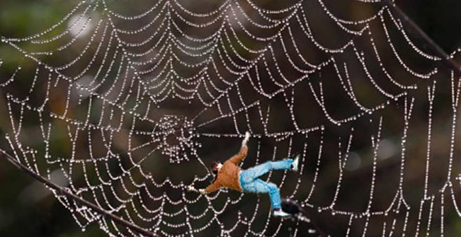 La telaraña de araña que atrapa al lector