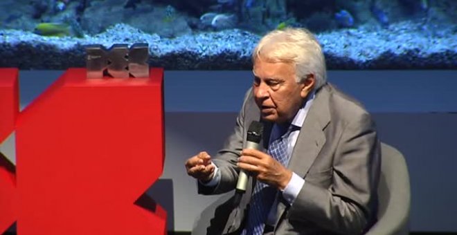 Felipe González sobre los políticos presos: "No quiero que estén en la cárcel más tiempo pero hay que respetar las reglas del juego"