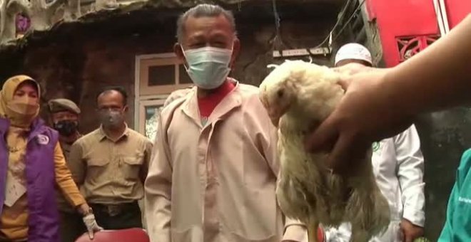 Vacunarse a cambio de un pollo es posible en Indonesia