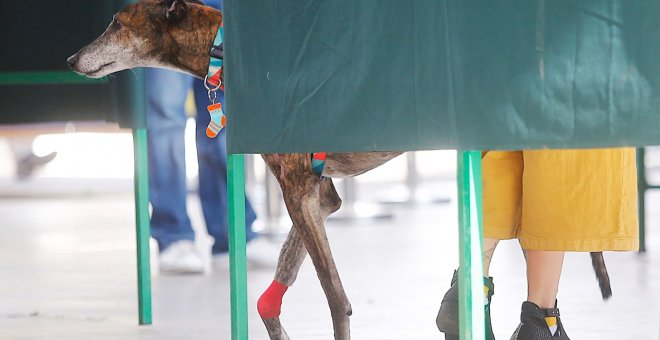 Comiendo tierra - Vota y no te metas en política