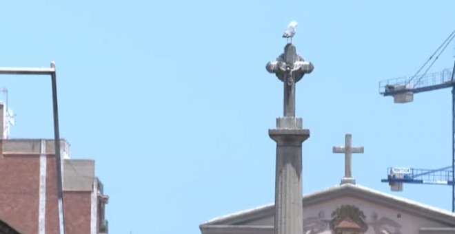 Las gaviotas protegen sus nidos en Barcelona