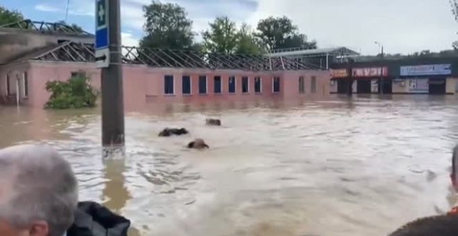 Polémica en Crimea por la imagen de funcionarios siguiendo a nado al gobernador durante su visita a una zona inundada