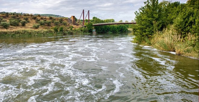 El nuevo Plan del Tajo fija caudales ecológicos para todas las masas superficiales de agua