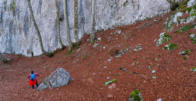 El arte de escribir guías de naturaleza... que cuiden la naturaleza