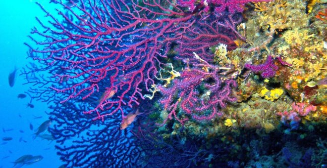 Mediterráneo, el mar que más rápido se calienta del mundo