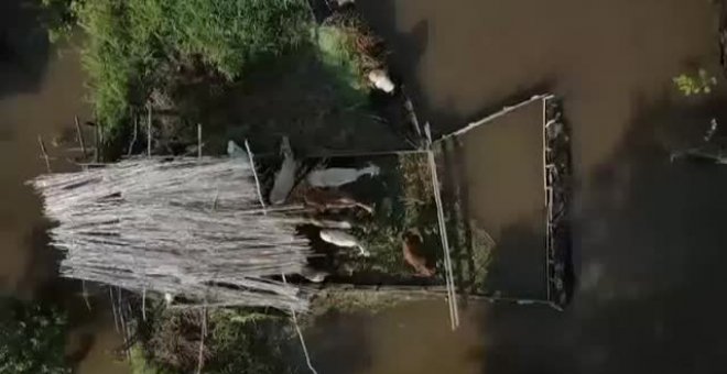 Casi medio millón de personas afectadas en la Amazonía brasileña por inundaciones