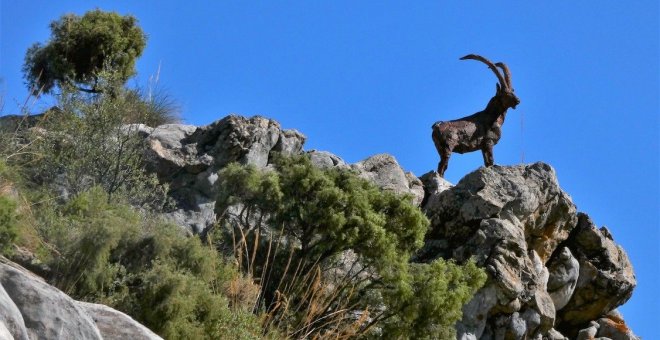 Aire Libre Julio: Pistas para disfrutar el nuevo parque nacional, Sierra de las Nieves