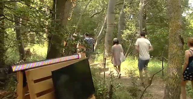 Festival de música en el bosque