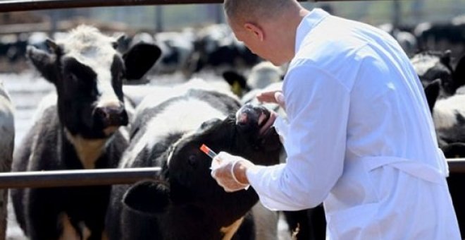 El consumo de carne: necesidad y oportunidad para el debate