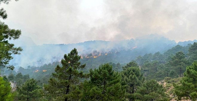 Un incendio forestal provocado por un rayo en Albacete moviliza un centenar de efectivos y obliga a cortar una carretera