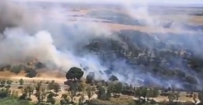 Sale ardiendo un bosque de encinas junto al embalse de Cazalegas en un lunes negro marcado por los incendios