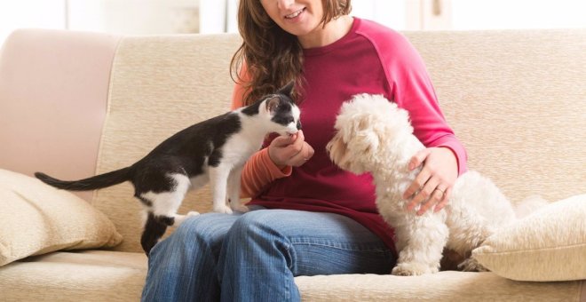 Los perros y los gatos pueden contraer coronavirus de sus dueños