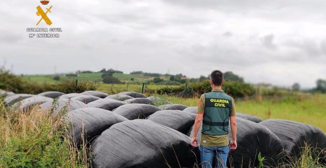 Seis detenidos por robar film de ensilar valorado en 128.000 euros para venderlo a ganaderos