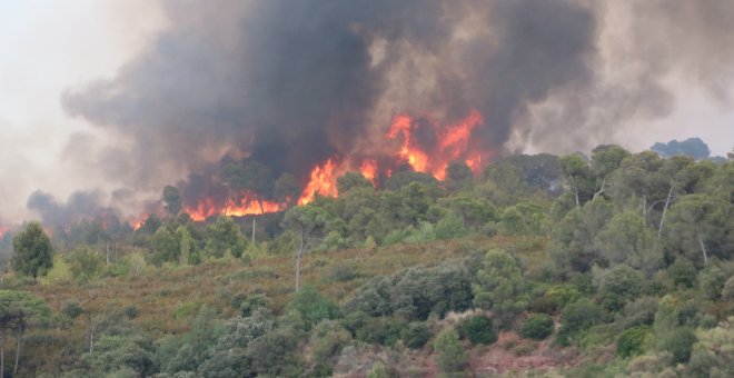 Els Bombers ja han estabilitzat el 95% de l'incendi al Baix Llobregat