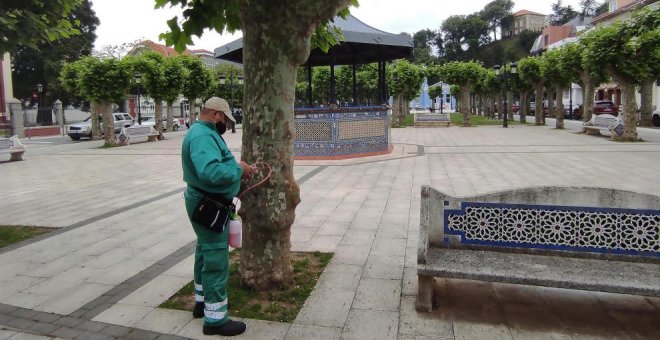 El Ayuntamiento sanea el arbolado de la Alameda con un tratamiento de endoterapia vegetal
