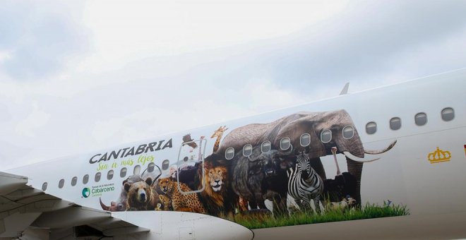 La imagen de varios animales de Cabárceno vuela con Iberia a 90 destinos