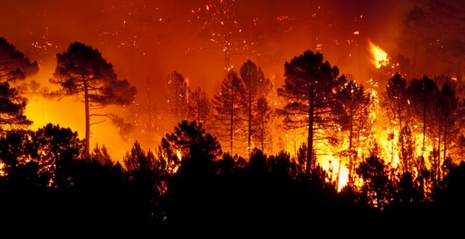 ¿Por qué ahora hay más incendios y son más peligrosos?