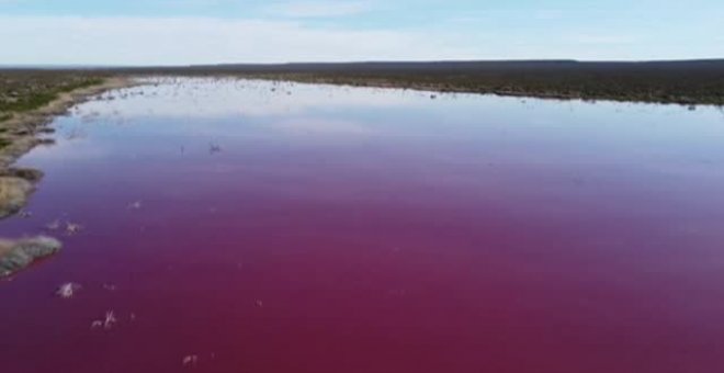 Ecologistas alertan del color rosa de una laguna al sur de Argentina