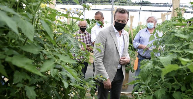 Torrelavega acoge del 27 al 29 de agosto el Festival del Tomate de Cantabria