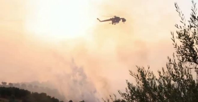 Los incendios forestales ponen en jaque varias zonas de Grecia, Italia y Turquía