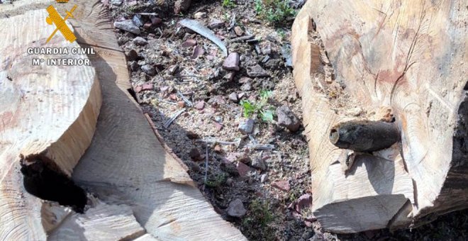 Destruido un proyectil de la Guerra Civil que se encontraba en el interior del tronco de un árbol en Buelna