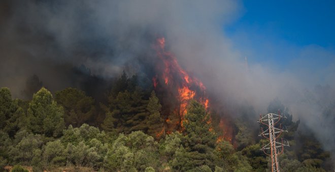 Aumenta el riesgo de incendios forestales debido a las altas temperaturas en varias zonas de España