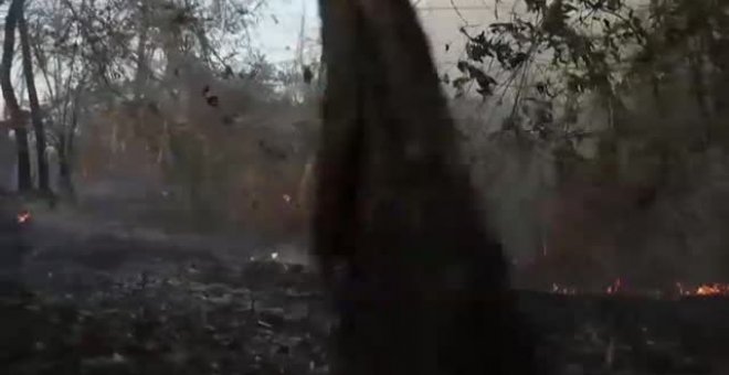 Las llamas vuleven a quemar Mato Groso, en Brasil