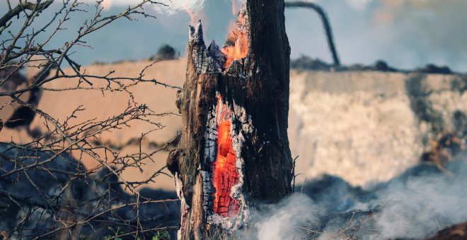 Controlado el incendio de Rafelguaraf en Valencia