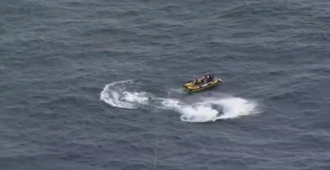 Rescatan a seis ballenas atrapadas en redes frente a la costa australiana