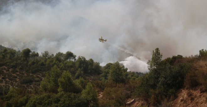 Extingit l'incendi forestal de la Pobla de Massaluca