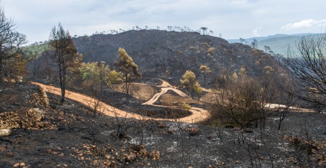 Casi toda España se encuentra en riesgo de incendios forestales por la ola de calor