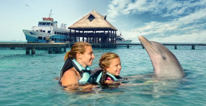 Los mejores planes en Isla Mujeres