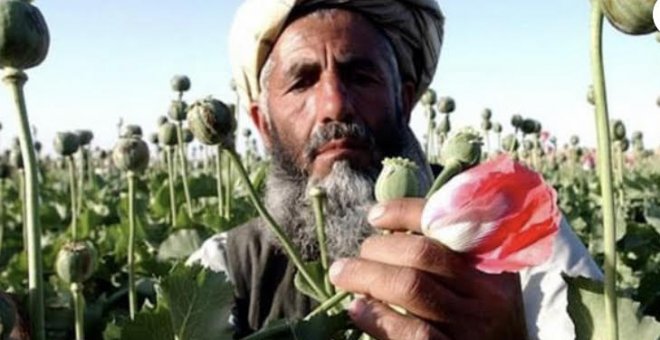 "En Afganistán no ha ganado el islamismo, ha ganado la heroína", dice el periodista Roberto Saviano